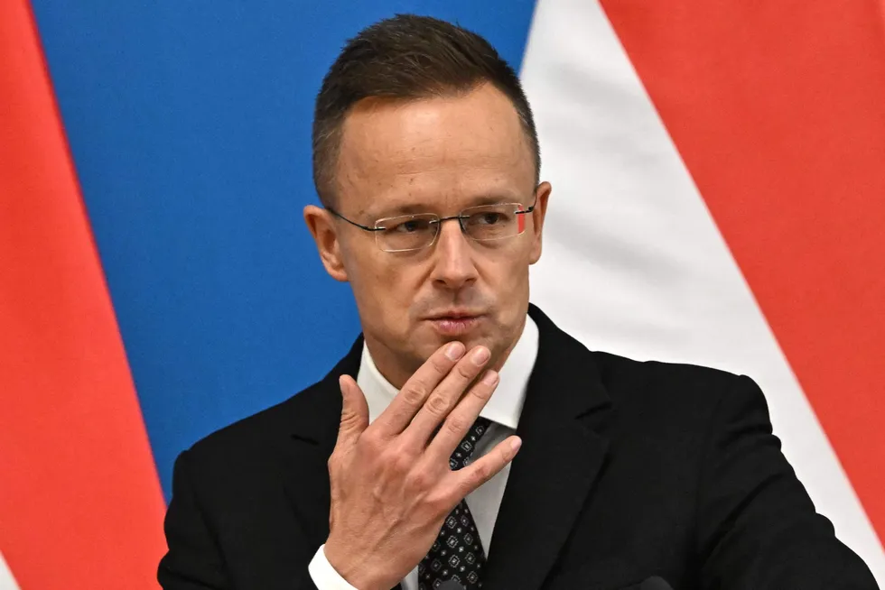 Hungary's Minister of Foreign Affairs and Trade, Peter Szijjarto.