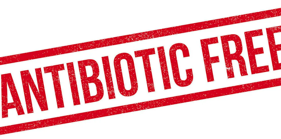 Consumers are more aware of antibiotics in their food, so how should aquaculture communicate on the issue?