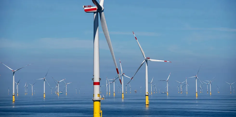 Orsted's Borkum Riffgrund 2 array in Germany.