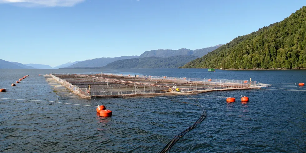 Chile's Aysen region has been hit by low oxygen levels and harmful algal blooms (HAB), fisheries and aquaculture service Sernapesca reported.