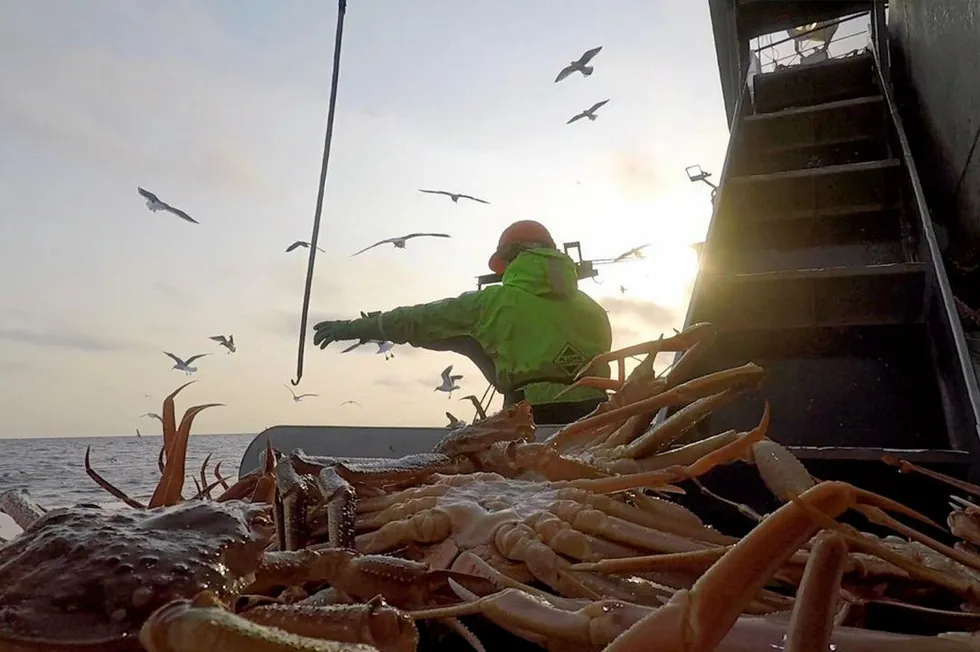 Russian Crab’s total quota for crab harvesting in the Russian Far East exceeds 18,000 metric tons.