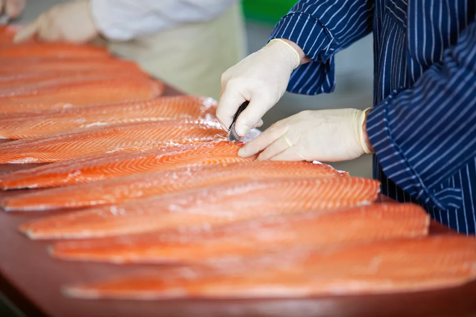 Fresh whole salmon is responsible for 73 percent of the total salmon imports to the EU, followed by frozen salmon fillets at 13 percent and fresh salmon fillets at 11 percent.