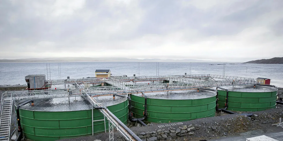 Post-smolt land-based salmon farming in Norway.