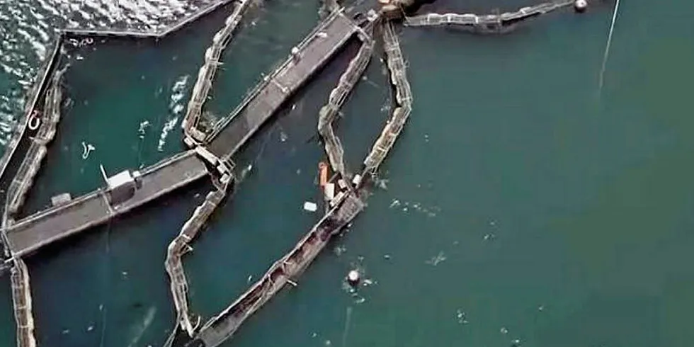 A broken salmon farm -- a still from Patagonia film Artifishal.