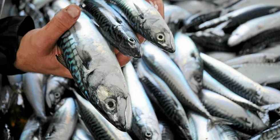 The Coastal States have agreed to meet in March for further negotiations on sharing the quota.