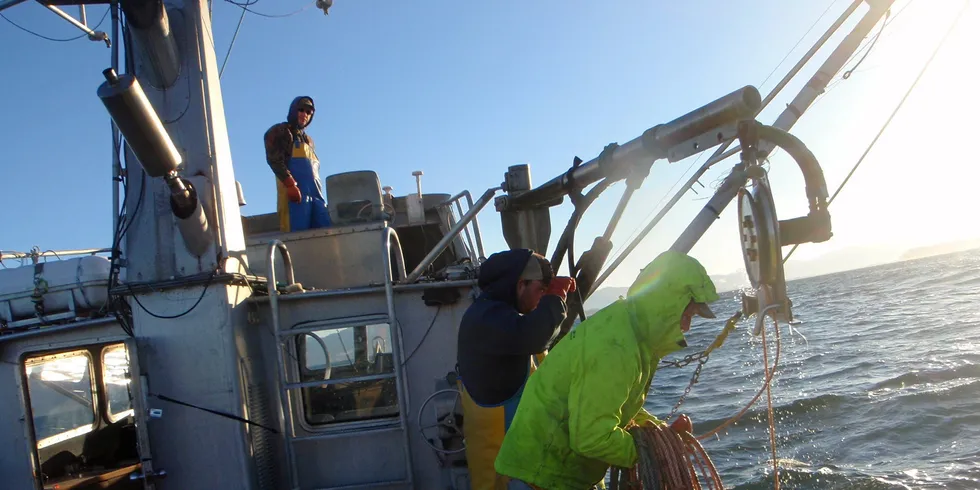 Oregon Dungeness crab.