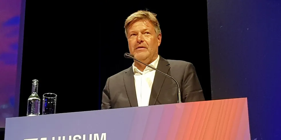 . Germany's economics and climate minister, Robert Habeck,