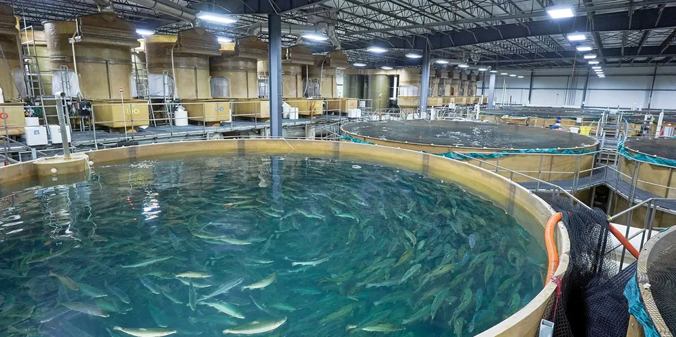 The farm, which is projected to produce 10,000 metric tons of farmed salmon in a land-based recirculating aquaculture facility, was originally estimated to cost around $200 million.