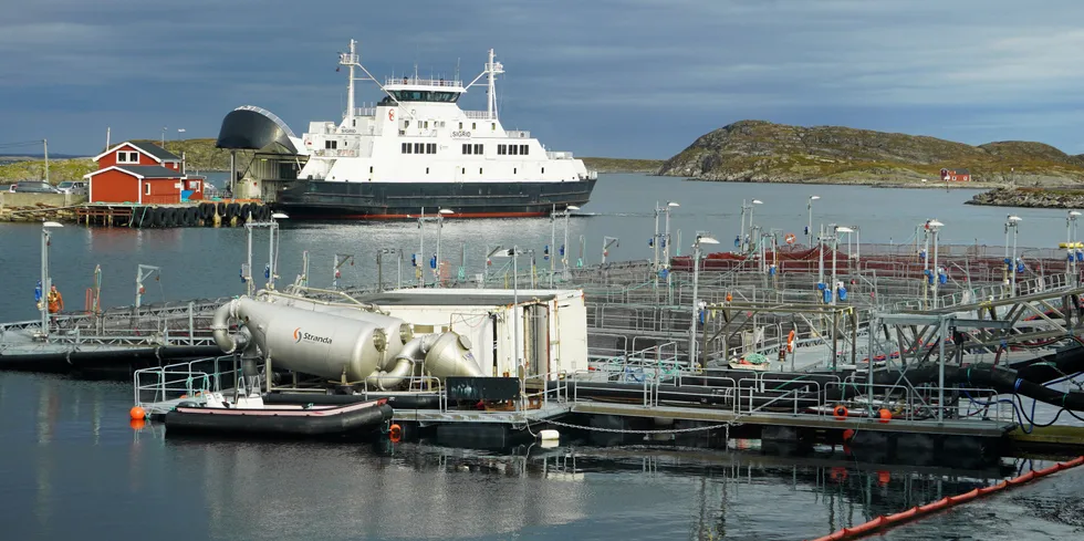 Nova Sea at Lovund is reducing the number of employees on the filleting line.