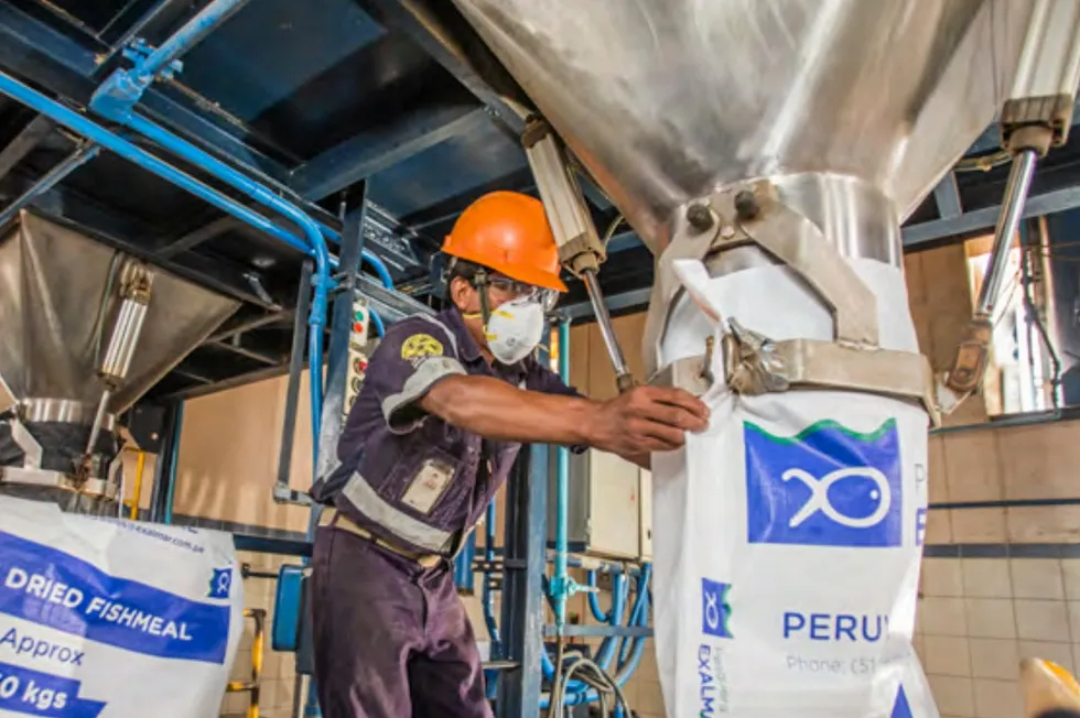 If fully harvested, the second-season anchovy quota in Peru is expected to boost fishmeal and fish oil supply.