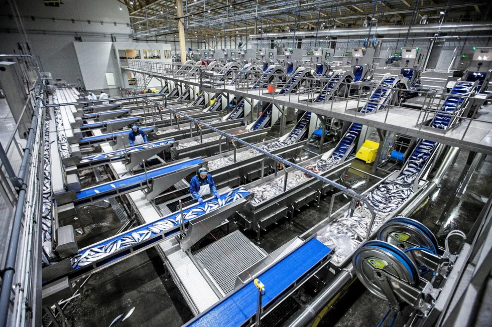 In July, the previous owner of Skaginn 3X, German processing equipment manufacturer Baader, started insolvency proceedings for the company following unsuccessful restructuring attempts.