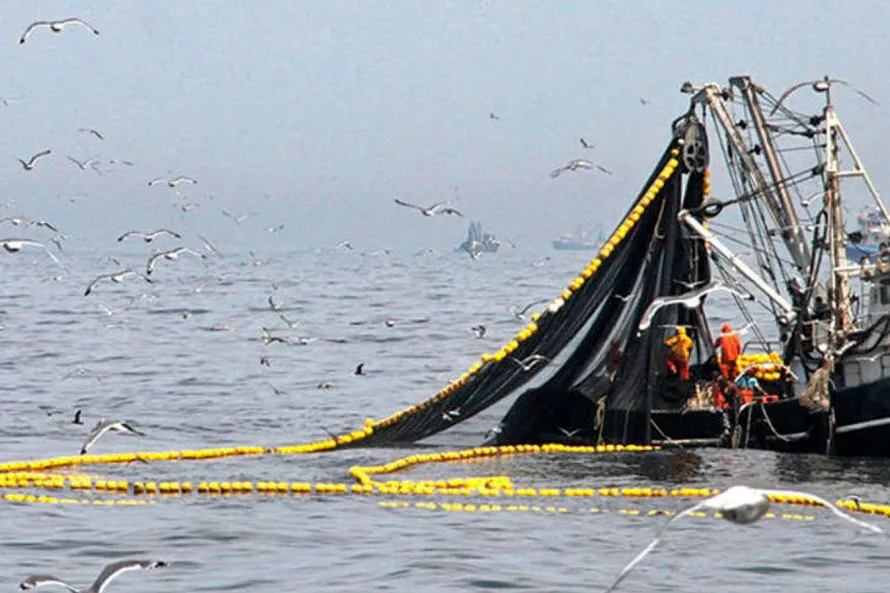 The second season is north central waters frequently spills over into the next calendar year.