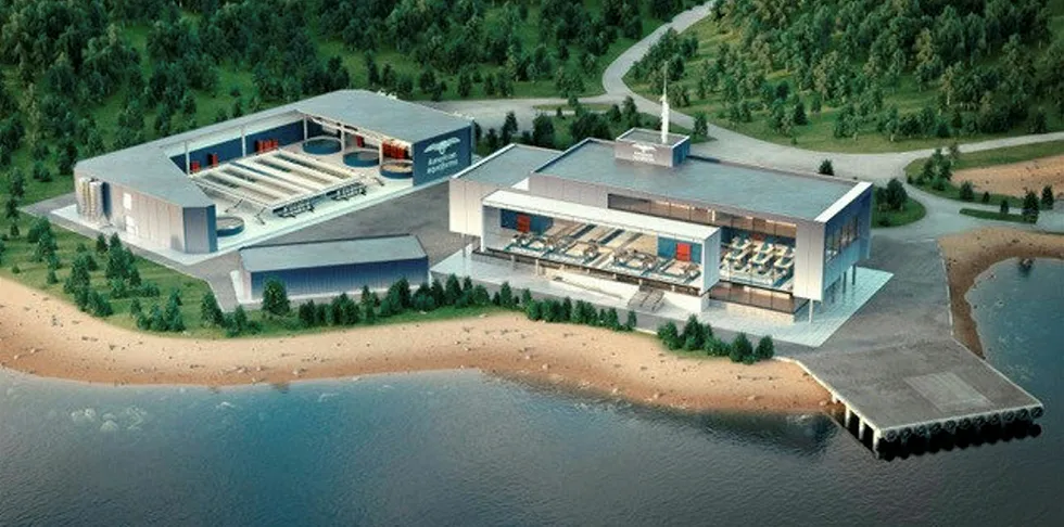 American Aquafarms announced Friday it is considering Maine sites for a hatchery, fish farm facilities, and a state-of-the art processing plant in coastal Maine.