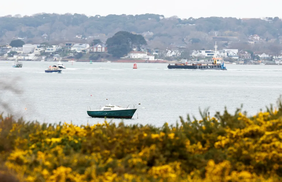 Natural haven: Poole Harbour in Dorset, UK, pictured on 27 March 2023.