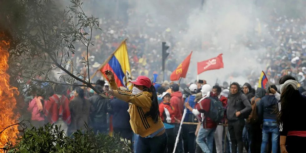 An anti-government demonstrator adds a branch to a burning barricade during a protest against President Lenin Moreno and his economic policies, in Quito, Ecuador, Tuesday, Oct. 8, 2019.