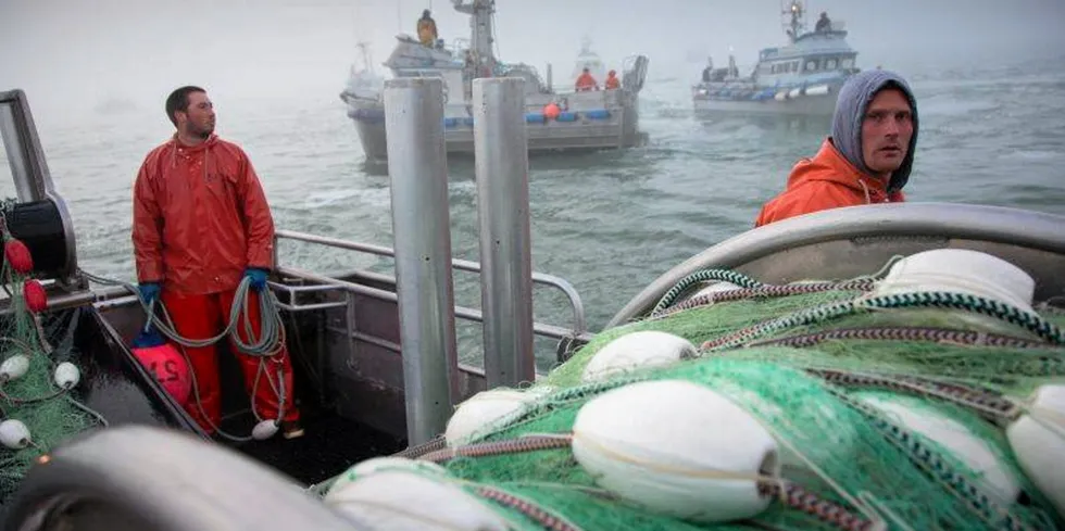 Colder ocean temperatures but bigger fish sizes are all part of the UW Salmon program' 2023 Bristol Bay salmon forecast.