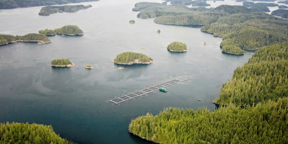 One of Mowi's Canadian farm sites.