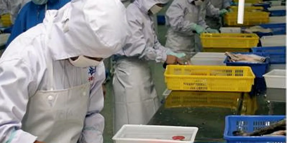Authorities are not afraid to shut down Chinese processing plants at the first sign of infection.