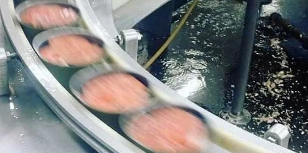 OBI Seafoods has won several USDA contracts for salmon this year.