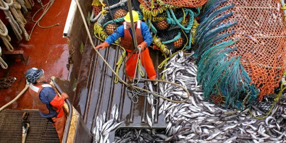 The Alaska pollock fishery is the second largest fishery in the world, according to NOAA.