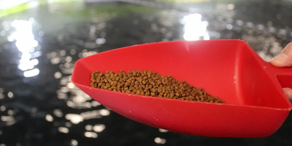 Explosion in land-based aquaculture projects leaves feed producers in holding pattern.