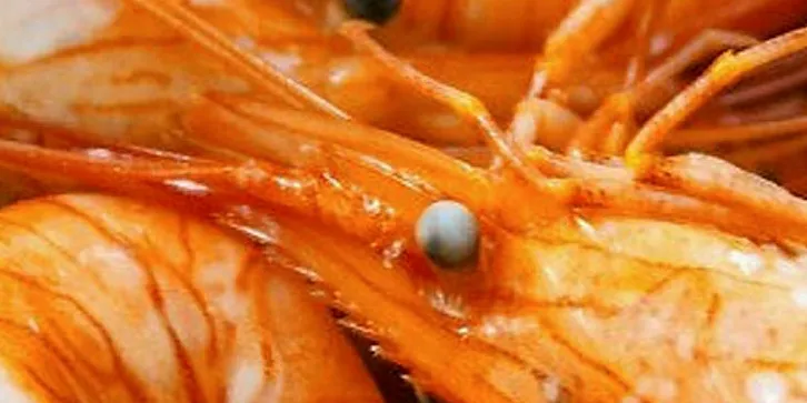 Argentine red shrimp.