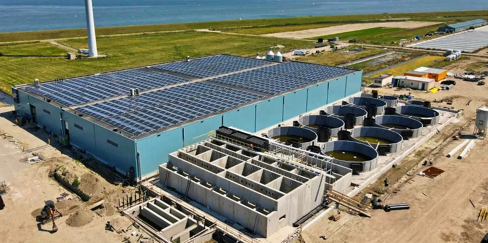 Current expansions in the Kingfish Company's land-based yellowtail facility in the Netherlands.