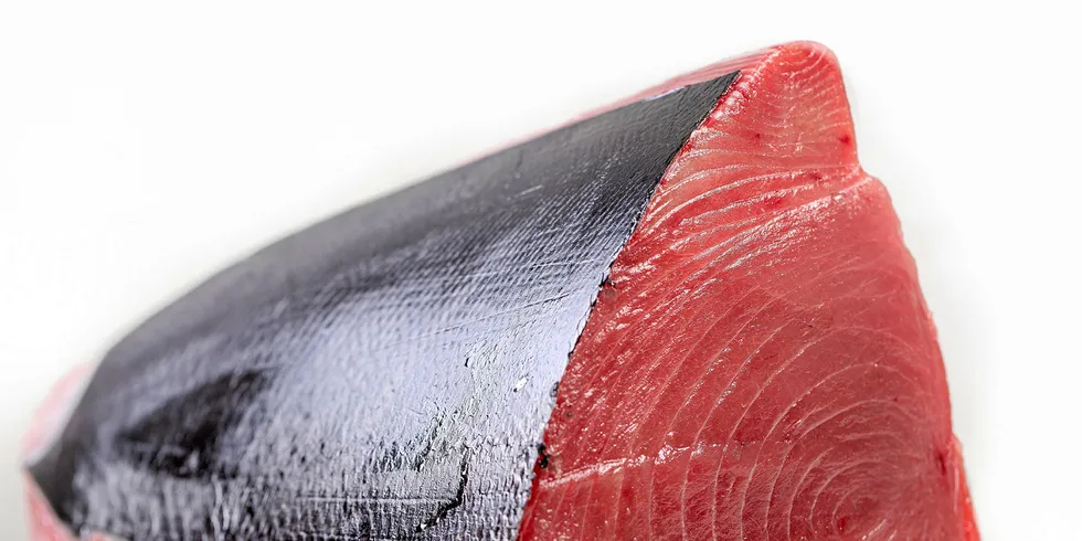 Ensis Fisheries: Bringing Maldives tuna to the world