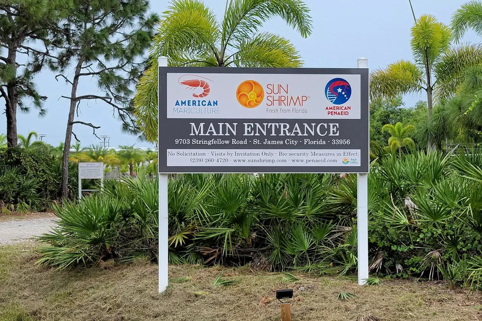 The court petition for American Mariculture estimates that the company's current assets are between $1 million and $10 million and estimated liabilities of between $10 and $50 million.