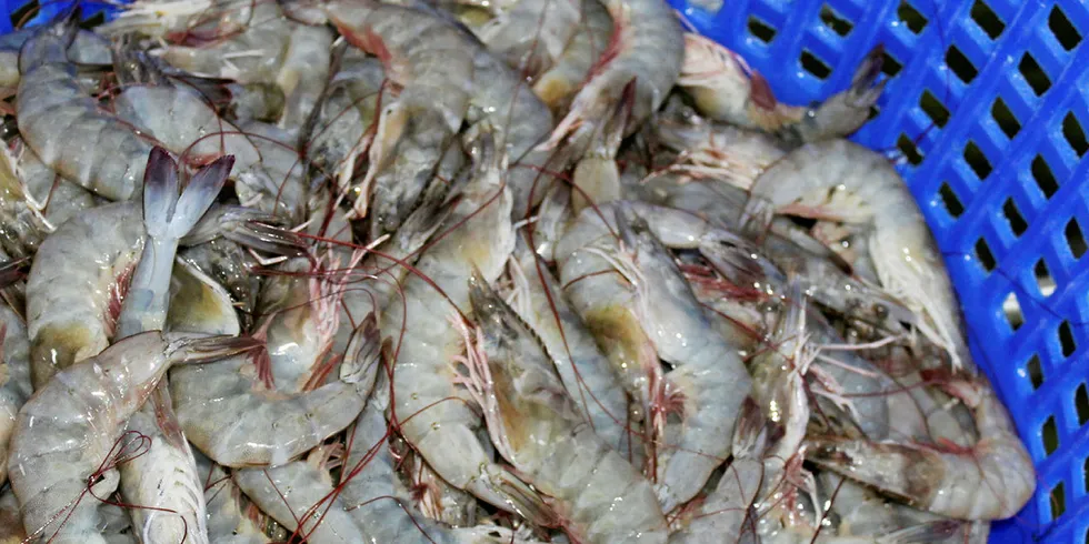 Five shrimp entry line refusals in September were from exporters in China, India, and Thailand.