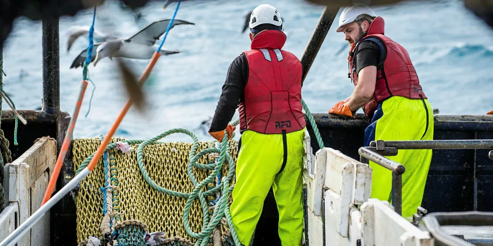 Sanford is the largest seafood company in New Zealand.