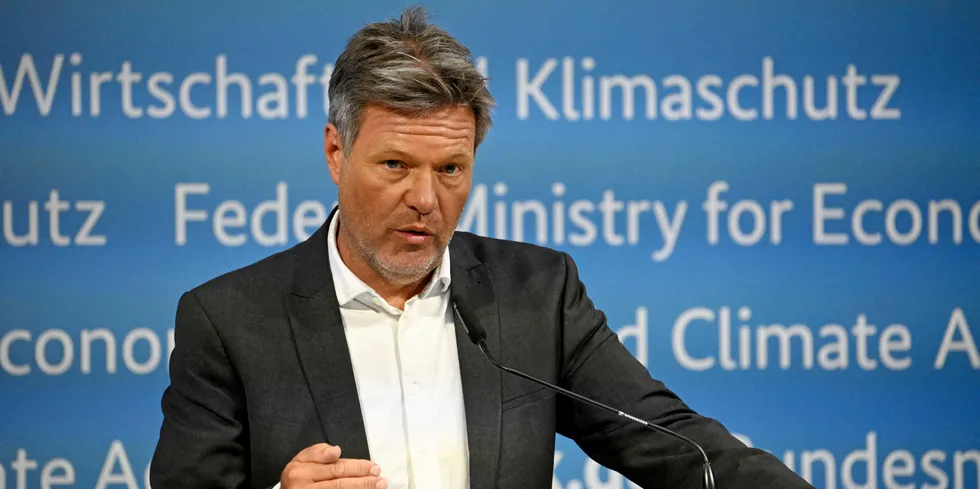 German economics and climate minister Robert Habeck.
