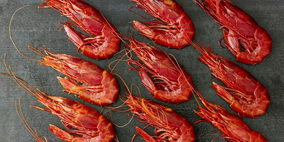 Velastro, Newsan joint-venture launches red shrimp trawler
