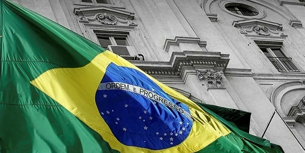 Brazil group targets first wind plant after link with Chinese giant