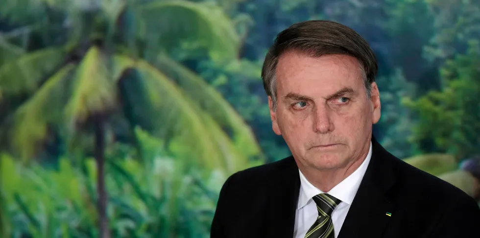 Brazil's President Jair Bolsonaro has been widely criticized for his alleged negligence in handling the coronavirus as a growing political crisis threatens to engulf him.