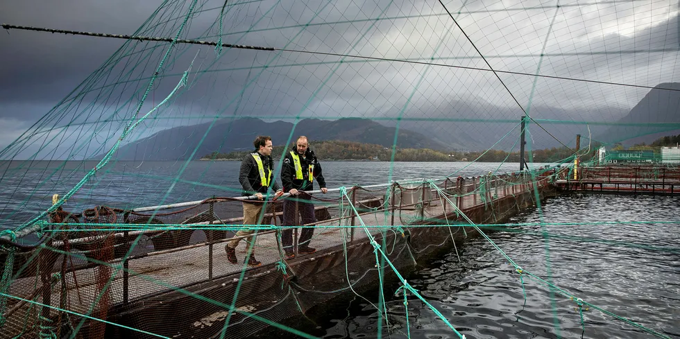 Erlend Eide (left) and Trygve Samnøy. The NFD opposed the Directorate of Fisheries' arguments that Salmon Zero was a continuation of pre-existing technology, but rather that the project as a whole would involve the development of new technology.