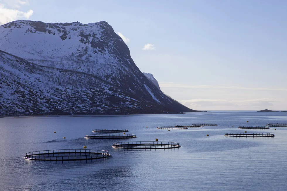 Salmon netpens in northern Norway. The picture is not related to the article.