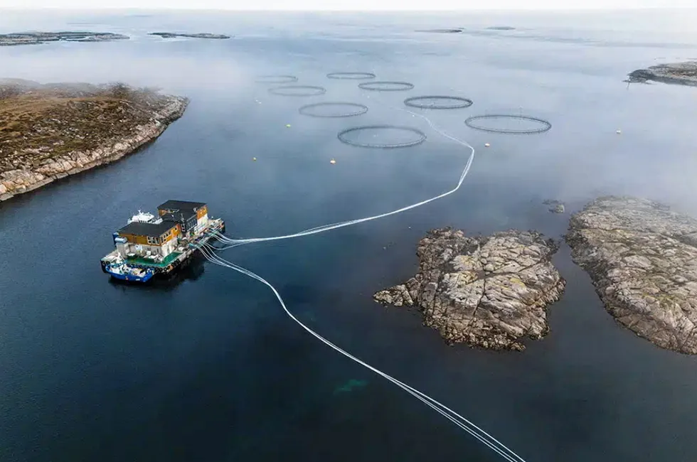 If the suspicion is confirmed, the Norwegian Food Safety Authority can order the emptying of all, or part, of the site and a restriction zone will be established to prevent, limit and combat ISA.