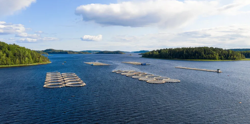 A suspected outbreak of infectious salmon anemia (ISA) has been confirmed in Flatanger municipality in the Trondelag region of central Norway. The picture is not related to the event.