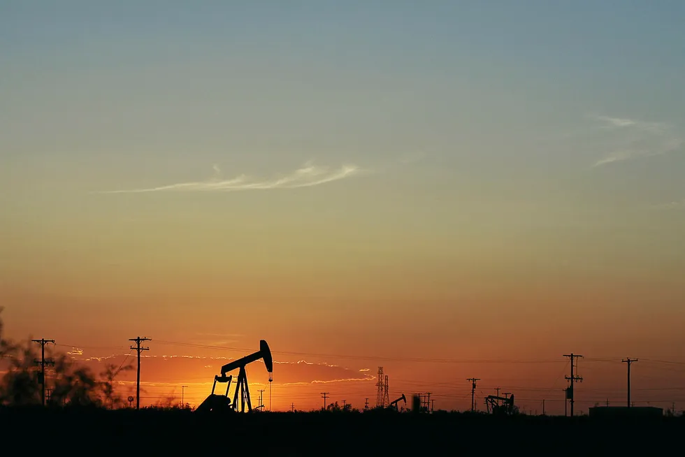 Oil rises: for another consecutive day