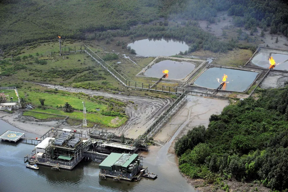Complex history: the Niger Delta