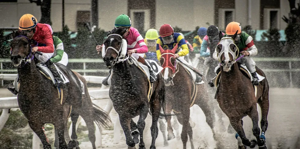 Horse racing in Japan.