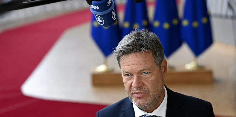 German Federal minister of economic affairs and climate action Robert Habeck.
