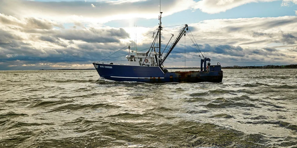 Blue Harvest Fisheries has acquired of 12 vessels and 27 fishing permits from the Carlos Rafael family.