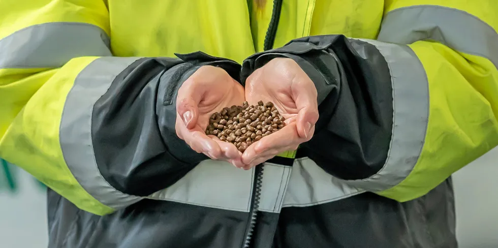 Scaling up is the issue for single cell and insect proteins used in aquafeed.