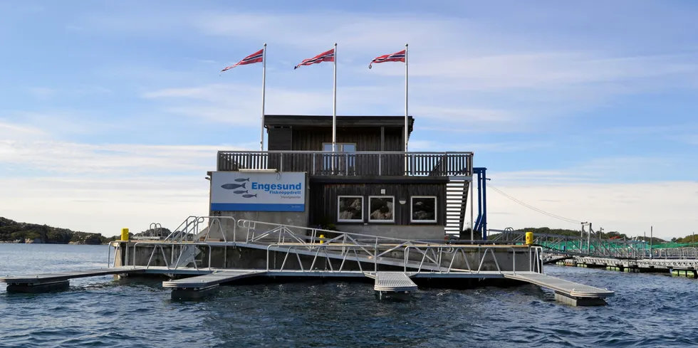 Two Norwegian farming companies have acquired a stake in local salmon group Engesund in western Norway.