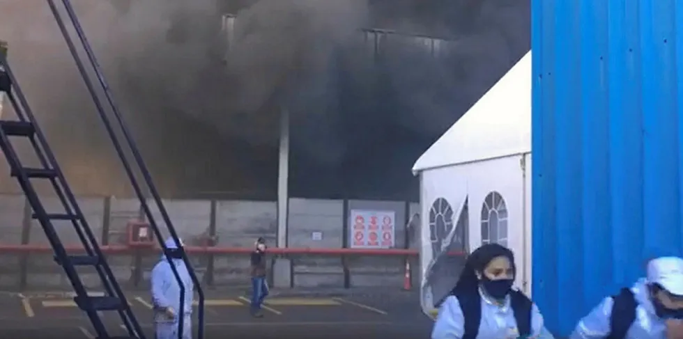Workers flee Camanchaca's frozen horse mackerel processing plant in Talcahuano.