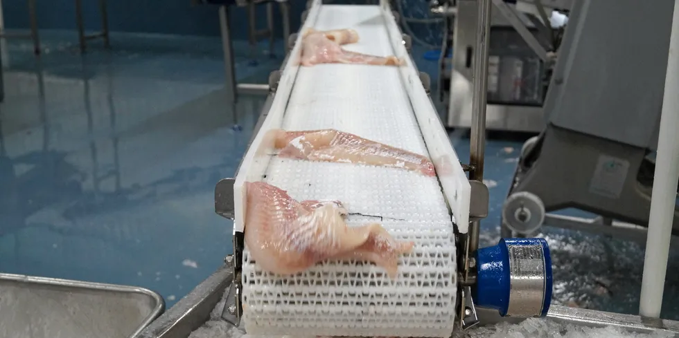 Prices for Icelandic cod and haddock have been at record high levels in recent years, reaching a peak last summer, but are now coming down slightly.