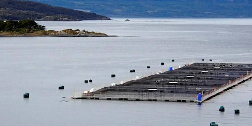 Chile salmon farm. Chile salmon farm.