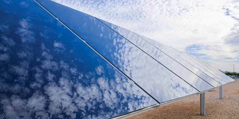 First Solar modules.